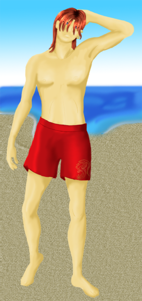 File:Kinrou beach.png