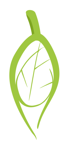File:Pendant starleaf.png